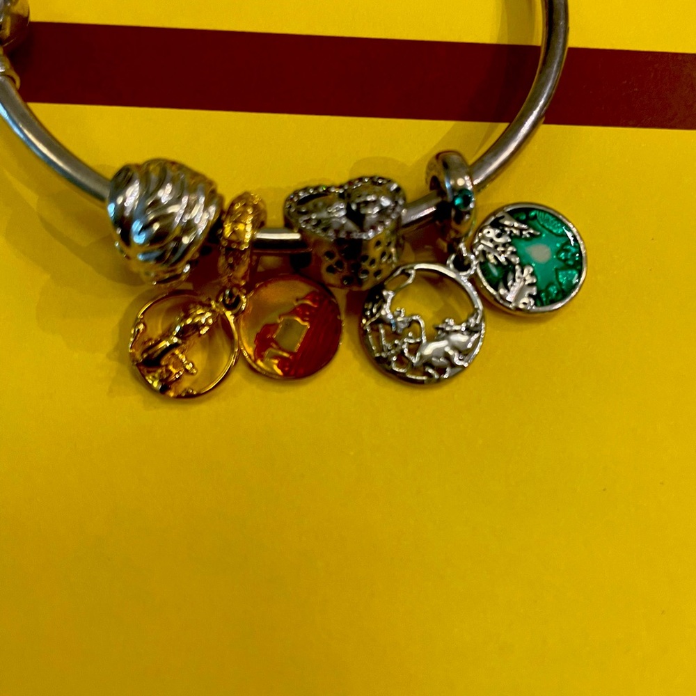 Pandora Bracelet with charms
